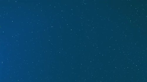 Starry Night Sky with Tree Silhouette