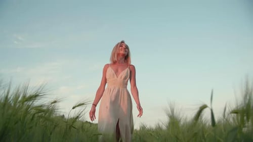 Lindo campo de trigo iluminado pelo horizonte do pôr do sol na temporada de verão