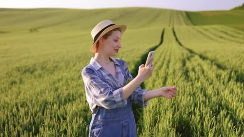 Farmer Photographing Wheat Field
