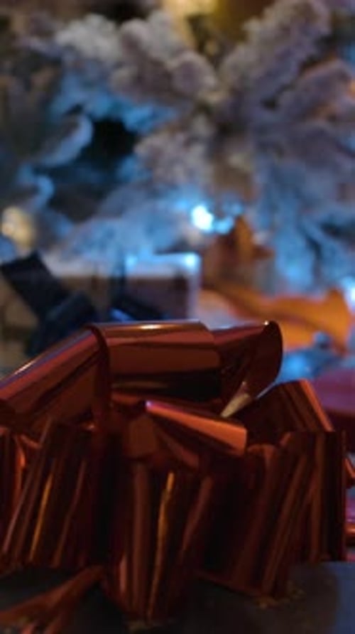 Christmas Gift Under Decorated Tree