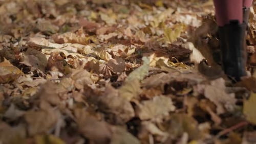 Walking Through Crisp Fallen Leaves in Autumn