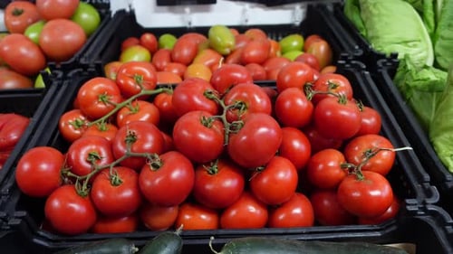 Rote Tomaten