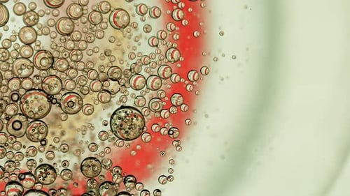 Abstract Colorful Food Oil Drops Bubbles 32