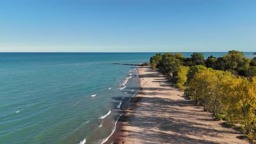 Aerial View of Beach with Trees and Ocean A Scenic Aerial View of a Sandy Beach Bordered By Lush