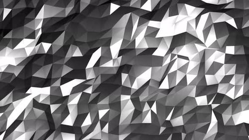 Abstract Low-Poly Geometric Black and White Background Loop
