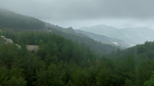 Majestic Mists Aerial View of the Enchanting Winding Road and the Mystical Forest in PostRain