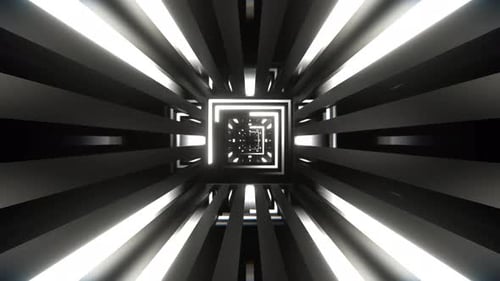 Black And White Different Neon Lines Tunnel Background Vj Loop In 4K