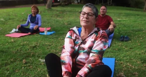 Senior Yoga in the Park Wellness and Friendship