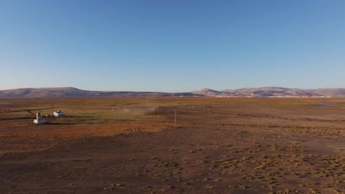 Aerial view of wild horses at sunset, Turkey.
