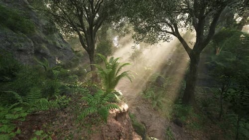 Sunlight Filters Through Dense Trees in a Tranquil Forest at Dawn