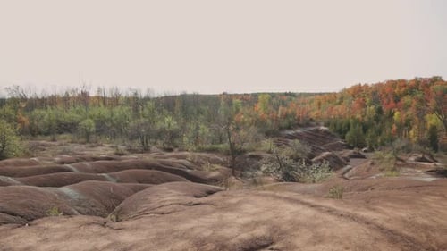 Red Soil Landscape With Colorful Autumn Tree Forest Under Bright Clear Sky At Cheltenham Badlands In