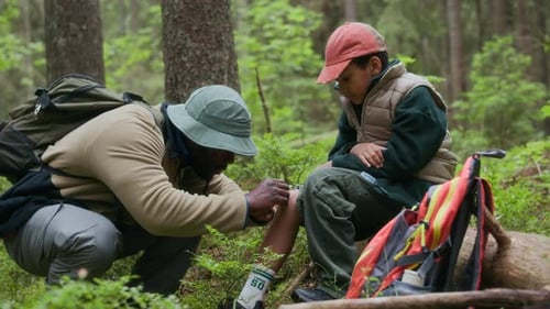 Father Caring for Son Injury During Forest Hike