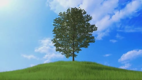 Baum auf dem Grashügel