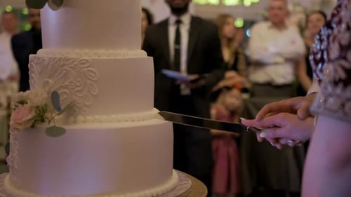 Bride and Groom Cut the Wedding Cake in Wedding Day Close Up