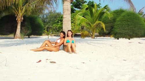 Beautiful women in bikini backed on palm trunk, sunbathe on white sandy beach of tranquil holiday re