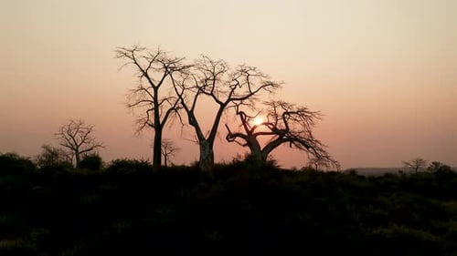 Traveling up, drone 4k ,sunset in Africa, Angola, Africa 10