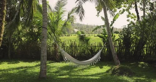 Tropical Hammock Between Palm Trees on a Sunny Day