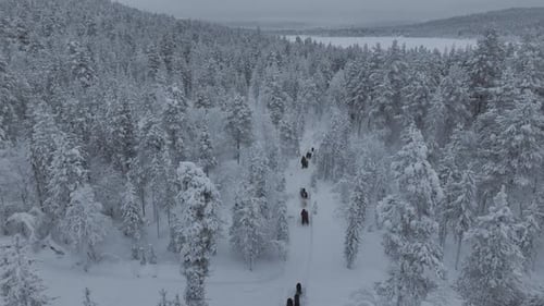 Randonneurs en traîneau à neige dans la toundra en Laponie finlandaise vus du ciel