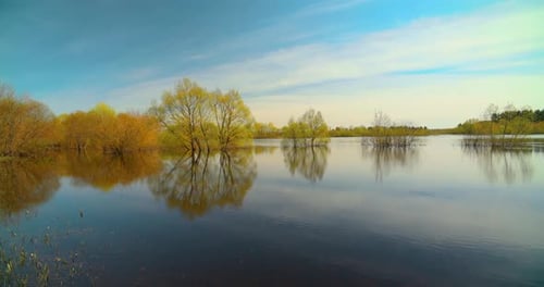 Timelapse Trees That Standing In Water During Spring Flood Floodwaters Bold Bright Blue Sky Above
