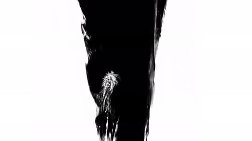 Dynamic Black Ink Reveal on White Background