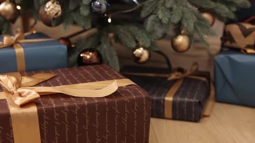 Christmas Presents Under the Decorated Christmas Tree