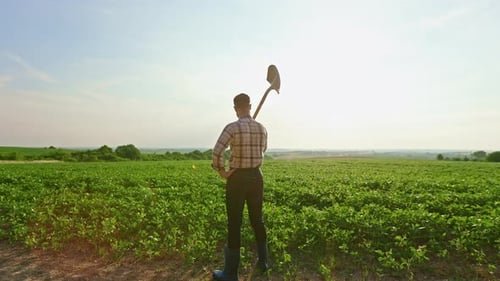 Farmer Wearing Plaid Shirt Standing on Field