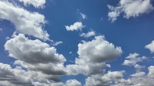 Evolving Cloudscape: Cottony Clouds Changing in a Deep Blue Sky. Low Angle View.