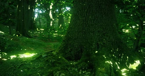 Majestätische Bäume sonnen sich in einer ruhigen Waldumgebung im Sonnenlicht