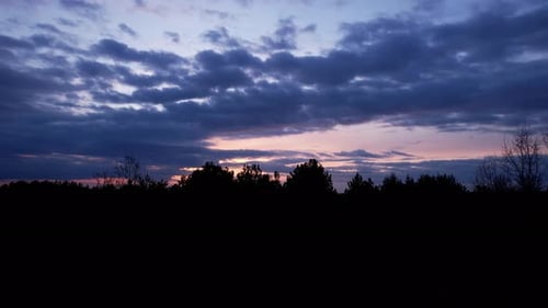 Forest At Sunset Background Movement To The Right