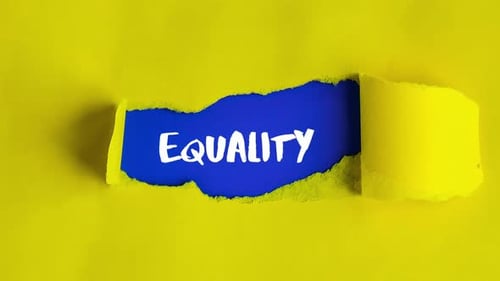 Zoom in Out Diversity Inclusion Equality Lettering
