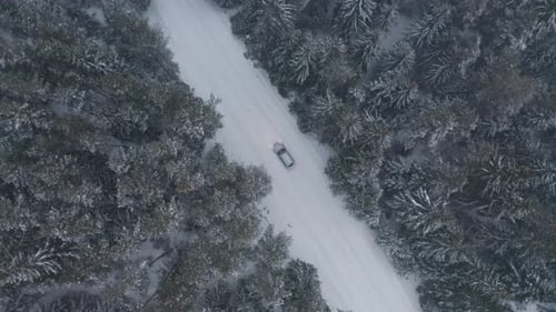Picturesque snowy forest with a car on a curvy road