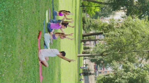 Vertical Screen Diverse Group Practicing Yoga Poses in City Park