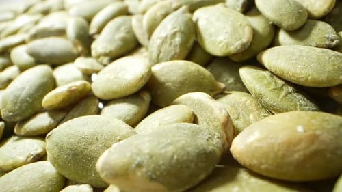 Pile of Pumpkin Seeds Close Up