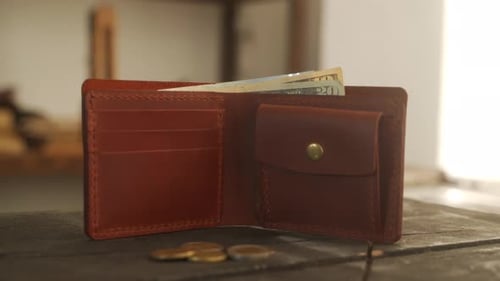 Brown Leather Wallet with Money and Coins