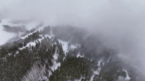 El Niño Winter