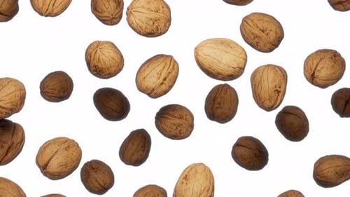 Natural Walnuts Falling Seamless Loop