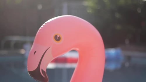 Pink Flamingo Floatie flutua na piscina de Palm Springs