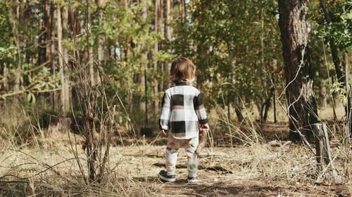 A Child Walking in a Lush Forest Surrounded By the Wonders of Nature Embarking on a Journey