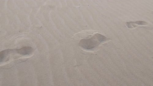 footprint on the sand at the beach