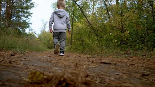 Low angle view of a little boy walking along a path in the forest
