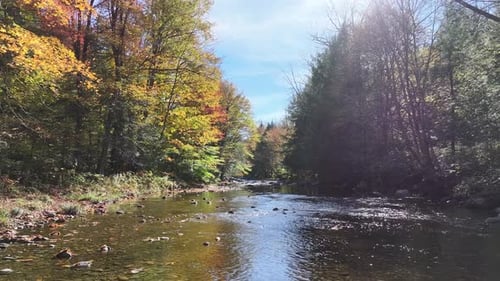 Drone skimming River in Fall