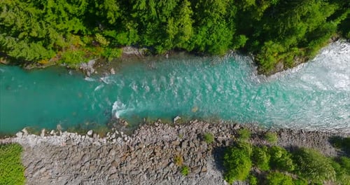 Top Down View of Fast Moving River Surrounded By Pine Forest Canada