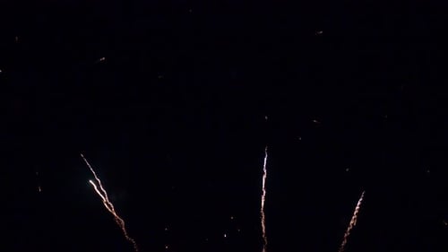 Brilliant Fireworks Exploding in the Night Sky