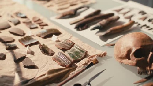 Close Up of Desk with Artifacts and Tools for Archaeological Research