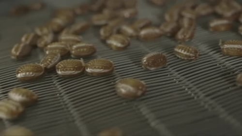 brown chocolate caramel candies on a conveyor line in a candy factory