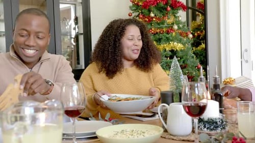 Family Christmas Dinner at Home During Daytime