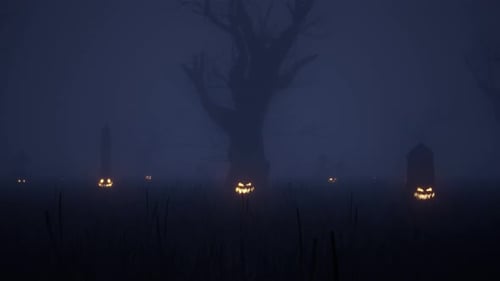 Eerie Halloween Night In A Misty Graveyard With Glowing Jack O' Lanterns