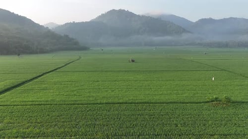 Morning atmosphere in Tempos hamlet