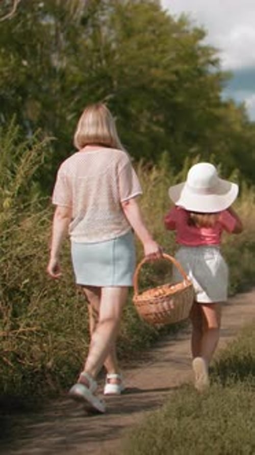 Rear View of Family Walking on Dirt Road with Dog Going for Picnic in Countryside