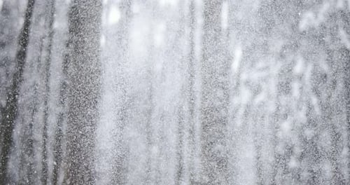 Heavy Snowfall in a Winter Forest